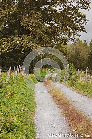 Empty road in countryside. Curve path to the forest. Camino de Santiago background. Way along the fence. Scenic summer landscape. Stock Photo