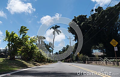 Empty road with dead end sign in Hawi Stock Photo