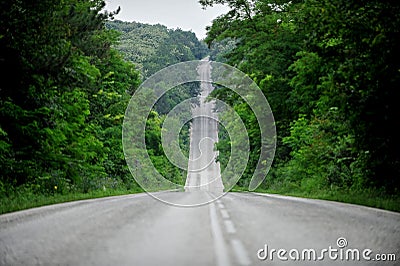 Empty road through the forest Stock Photo