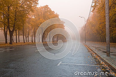 Empty roadway on a foggy autumn morning. Stock Photo
