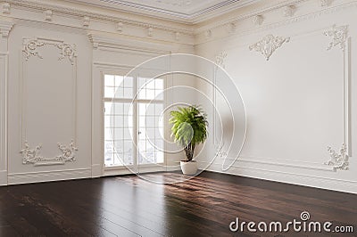 Empty room with classic wall paneling Stock Photo