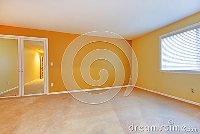 Empty room with yellow golden walls and mirror. Stock Photo