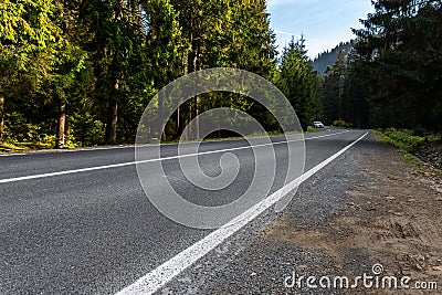 Empty rural highway alpine mountan road at high coniferous pine tree bottom POV. Scenic abstract forest roadway Stock Photo