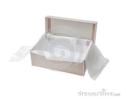 Empty shoebox with protective paper Stock Photo