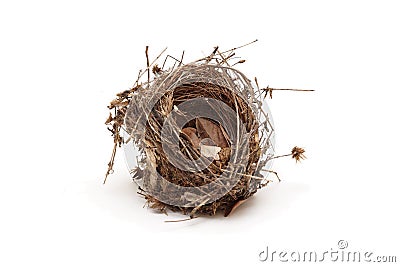 Empty small bird nest isolated Stock Photo