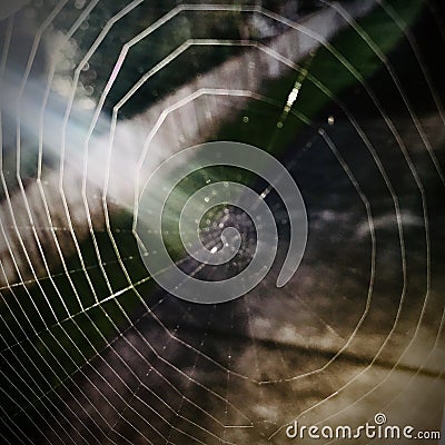The Empty Spider Web in the twilight narrow light. Stock Photo