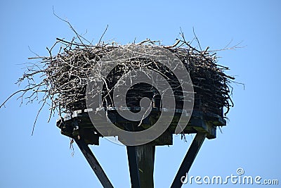Empty storks nest blue sky Stock Photo