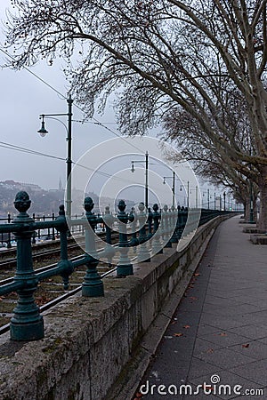 Empty street with bare trees and railways in perspective with river view. Transport and travel concept. Stock Photo