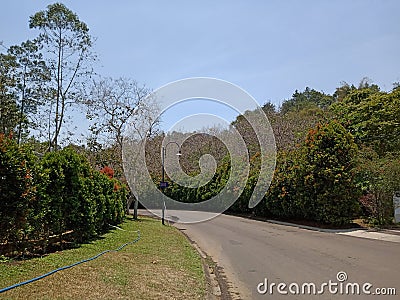 Empty street lonely quiet road Stock Photo