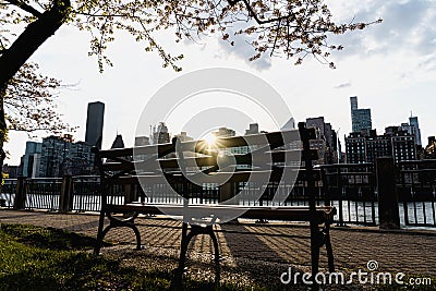 Empty streets of New York. Manhattan view. Editorial Stock Photo