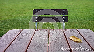 Empty table and chair in garden at rain Stock Photo