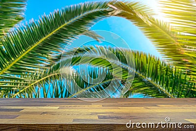 Tropical holiday concept. Palm tree and beautiful blue sky blurred in the background Stock Photo