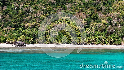 Empty tropical beach and lush green vegetation Stock Photo