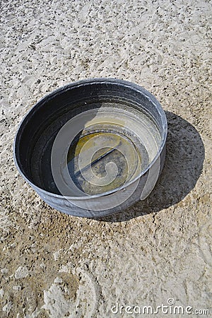 Empty water pail Stock Photo