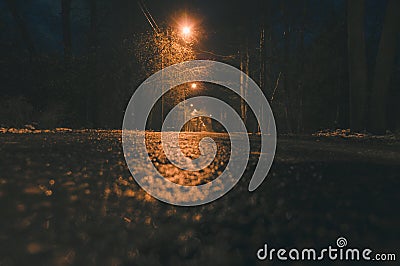 Empty wet asphalt road and lamppost lights at night Stock Photo