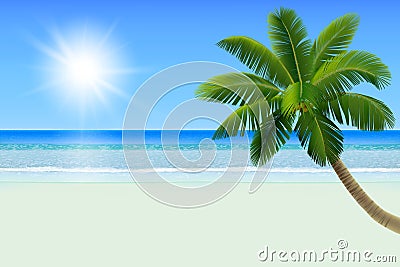 Empty white tropical beach with a palm a coconut tree. Realistic vector illustration Vector Illustration