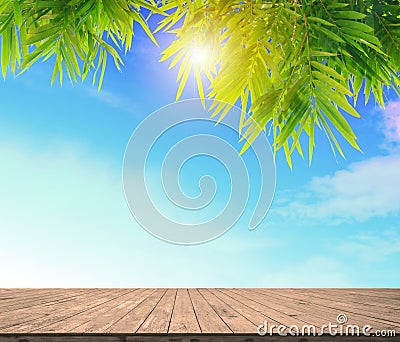 Empty wood plank floor mock on the blule sky with green bamboo Stock Photo