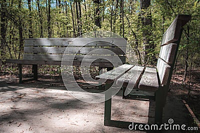 Wooden Bench on the side of a trail in the park. Stock Photo