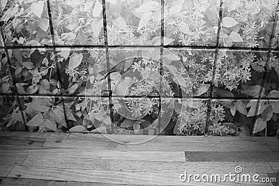 Wooden kitchen counter in front of kitchen brick wall with plants. Black and white. Stock Photo