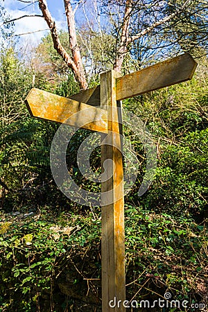 Empty wooden road sign Stock Photo