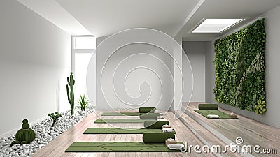 Empty yoga studio interior design, open space with mats, pillows and accessories, parquet, vertical garden and succulent plants Stock Photo