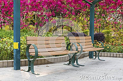 Empy bench Stock Photo