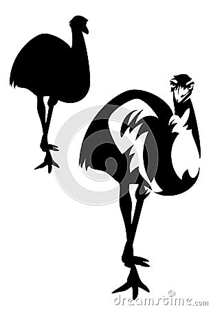 Emu ostrich Vector Illustration