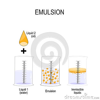 Emulsion is a mixture of two liquids that are normally immiscible Vector Illustration