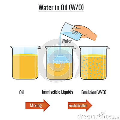 Emulsion of water in oil vector illustration Vector Illustration