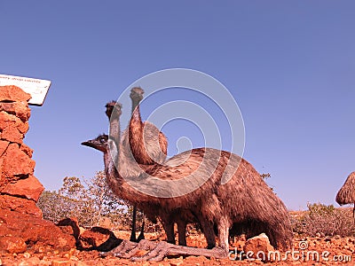 Emus, australia Stock Photo
