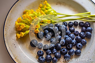 Enameled vintage plate with ripe forest blueberries and yellow flowers Stock Photo