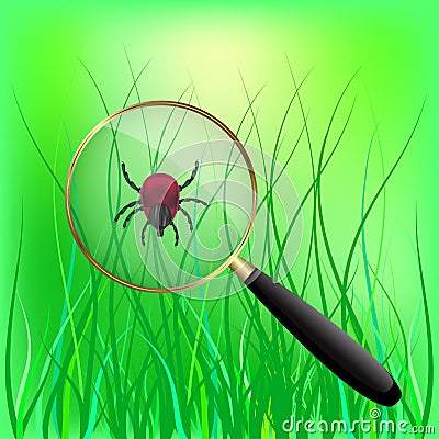 Encephalitis mite on the grass. illustration. Vector Illustration