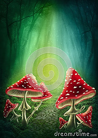 Enchanted dark forest Stock Photo