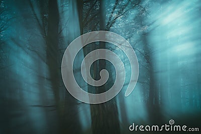 Enchanted forest with blur effect Stock Photo