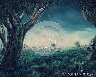 Enchanted forest Stock Photo