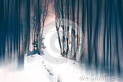 Magic, mysterious forest with trees in fog. Halloween concept Stock Photo