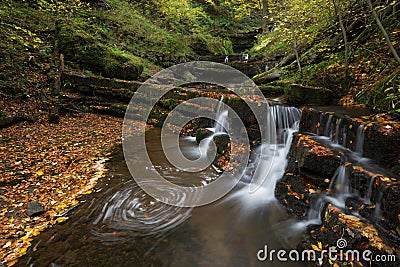 Enchanted Forest Stock Photo