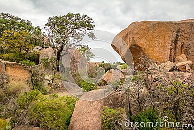 Enchanted Rock State Park Stock Photo