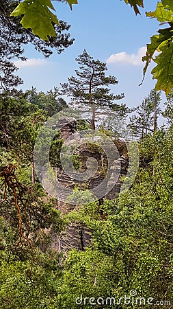 Enchanted tree on the ridge path on the Schrammsteine rocks, Saxony Stock Photo