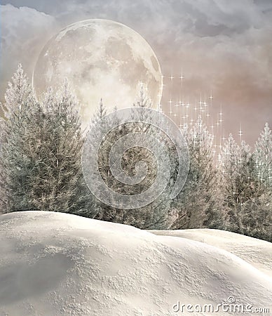 Enchanted winter forest Stock Photo