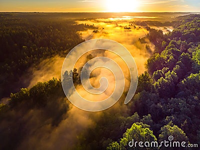 Enchanting Sunrise Mist Over Majestic Forest Stock Photo