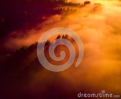 Enchanting Sunrise Mist Over Majestic Forest Stock Photo