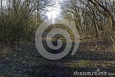 The end of a treelined path along a former railway track Stock Photo