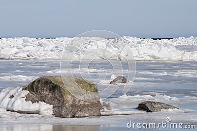 Springtime in Gulf of Riga covered with melting ice stacks and closeup of stone Stock Photo