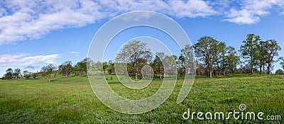 Endangered Species Landscape Stock Photo