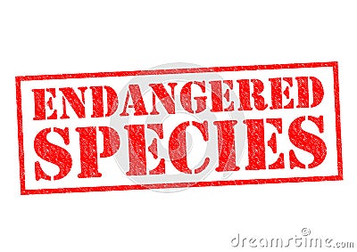 ENDANGERED SPECIES Stock Photo