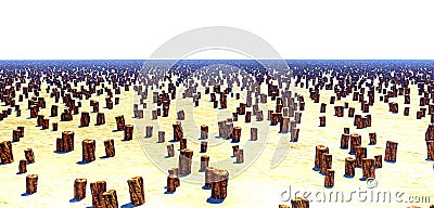 Endless Clearcut Stock Photo