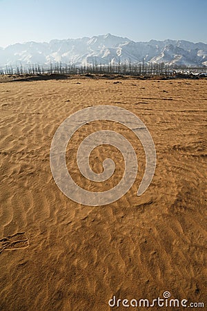 Endless desert Stock Photo