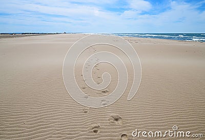 Endless desert beach with blue sky and sunny weather, Camargue, France Stock Photo