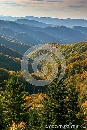 Colorful fall leaves dotting the endless mountains in the Smoky Mountains. Stock Photo